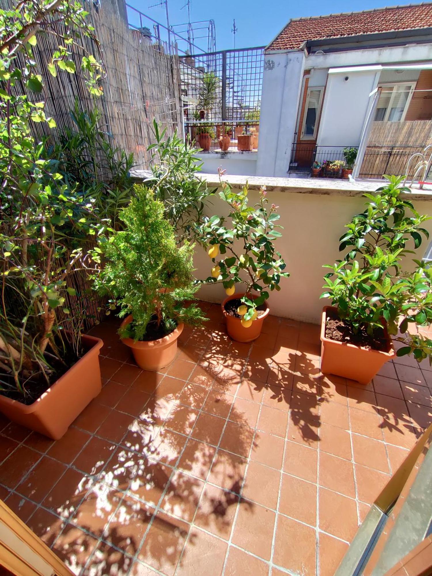 La Dimora Degli Artisti Bed & Breakfast Pescara Room photo